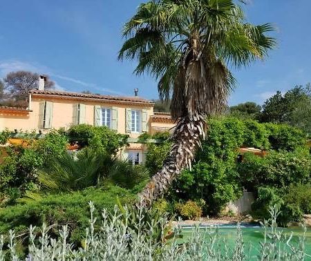 Les Palmiers Toulon Apartment Екстериор снимка