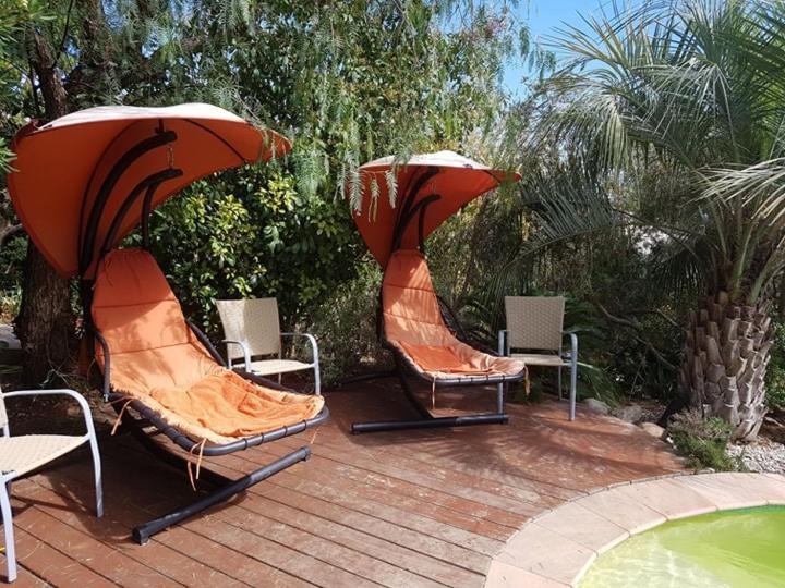 Les Palmiers Toulon Apartment Екстериор снимка