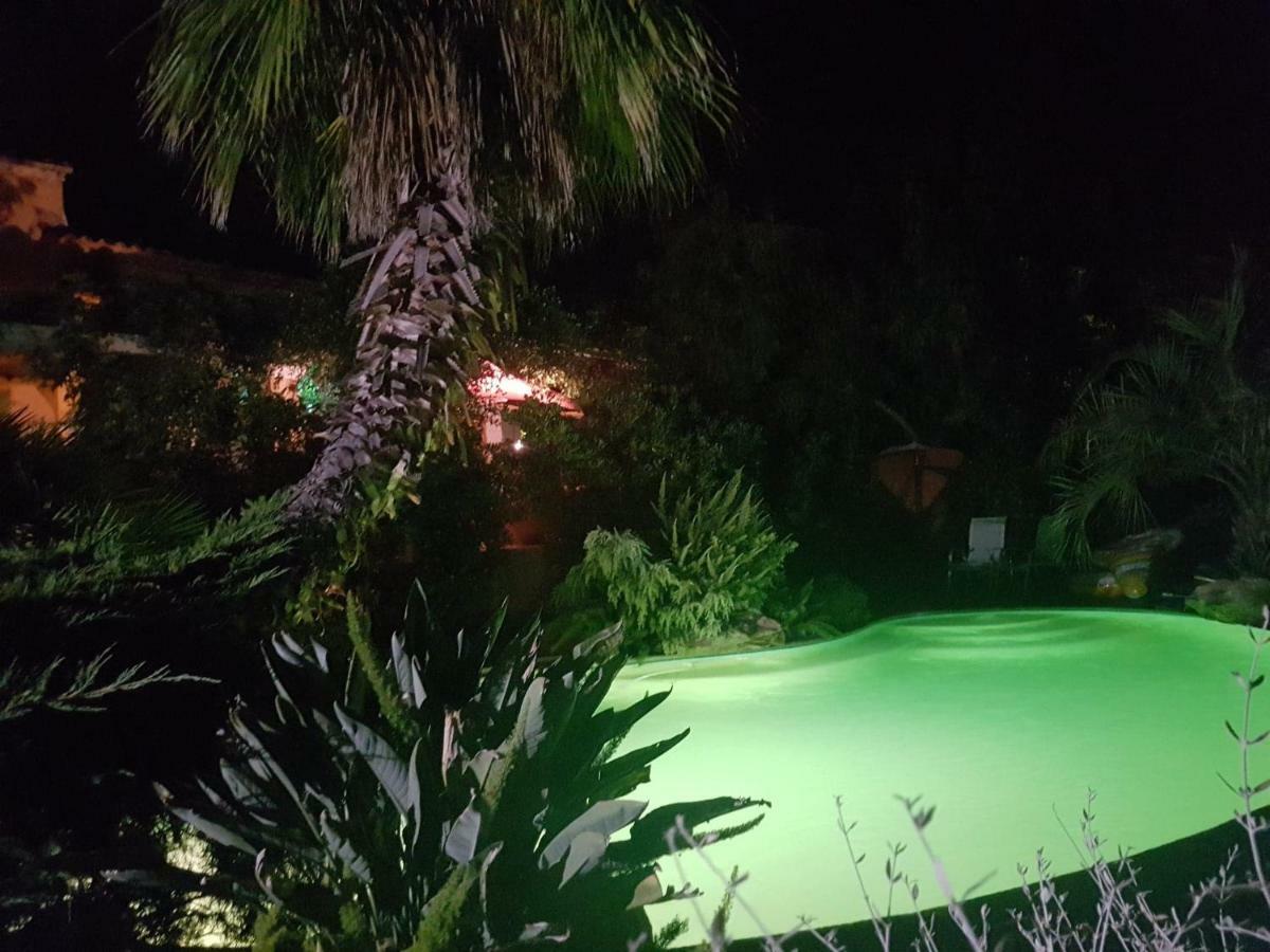 Les Palmiers Toulon Apartment Екстериор снимка