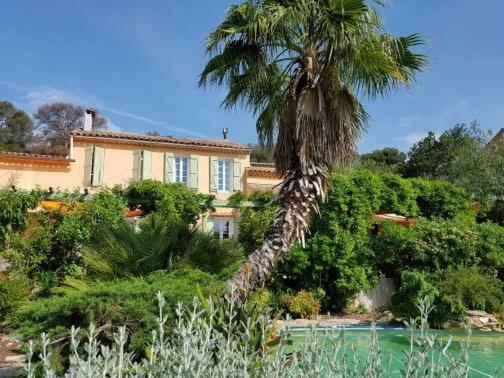 Les Palmiers Toulon Apartment Екстериор снимка